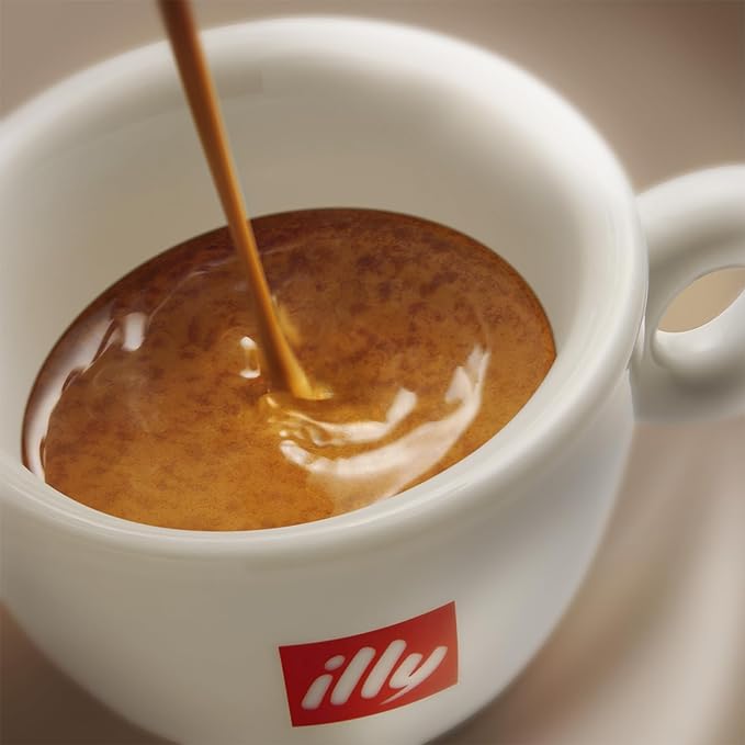 illy Arabica Selections Nicaragua Whole Bean Coffee, 100% Arabica Bean Single Origin Coffee, No Preservatives, 8.8oz (Pack of 1)