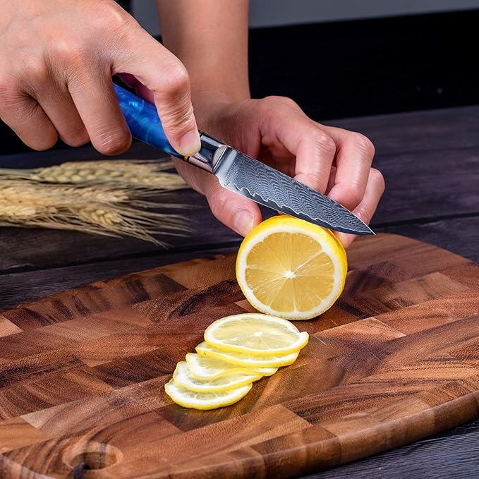 Paring Knife 3.5 Inch Damascus Paring Knife Small Fruit Knife Ultra Sharp Damascus VG10 Core Steel with 66 Layers High Carbon Steel Classical Pattern Blue Handle Unique Gifts with Gift Box