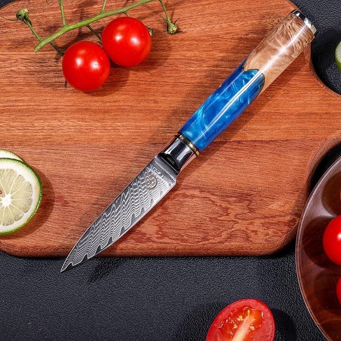 Paring Knife 3.5 Inch Damascus Paring Knife Small Fruit Knife Ultra Sharp Damascus VG10 Core Steel with 66 Layers High Carbon Steel Classical Pattern Blue Handle Unique Gifts with Gift Box